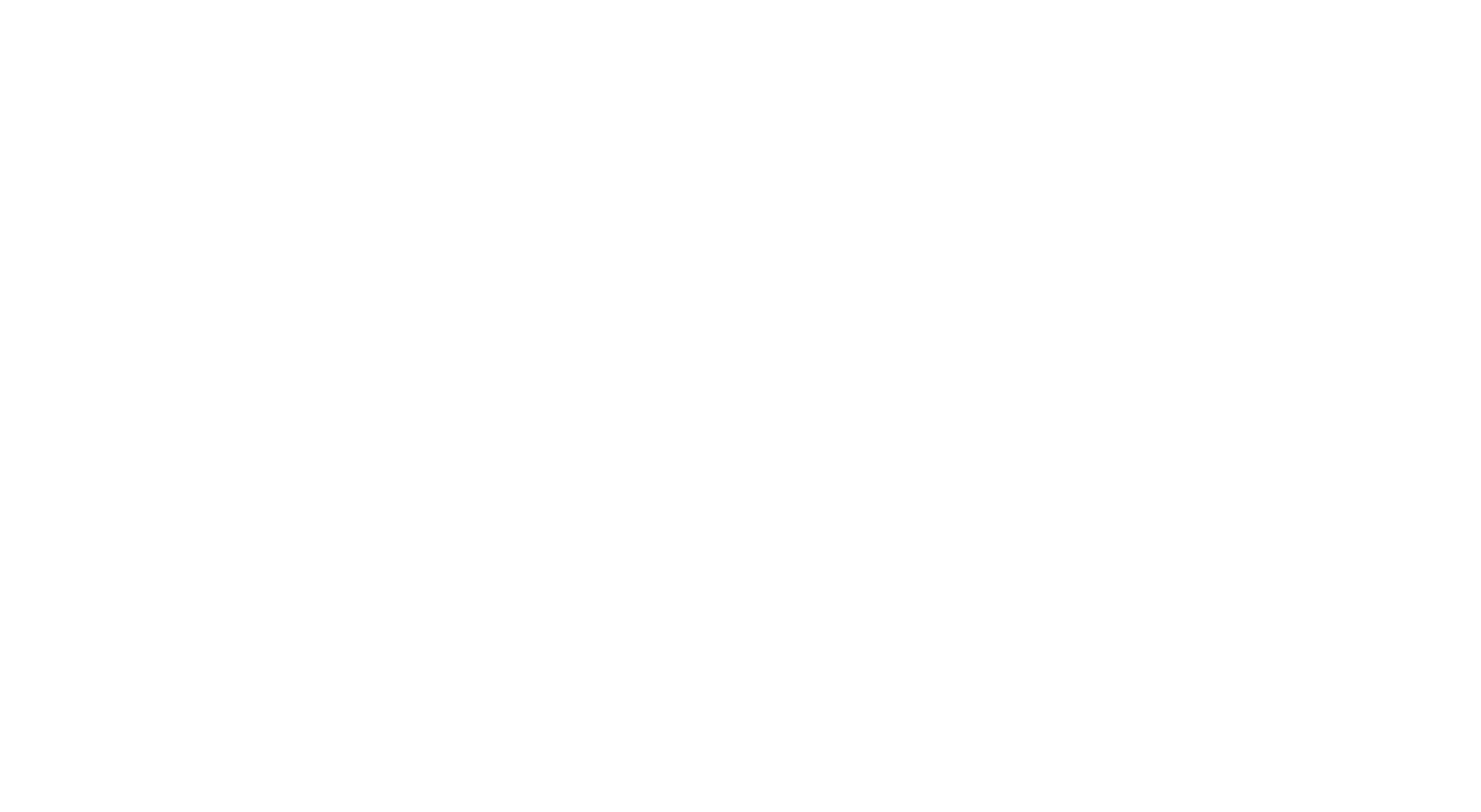 SavageWonder_HorizontalLogo03@10x